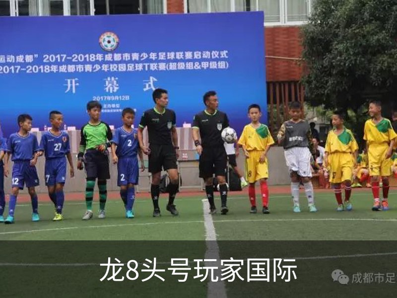 龙8头号玩家国际概况